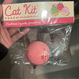 NWT Pusheen Fruit Cat Toy
